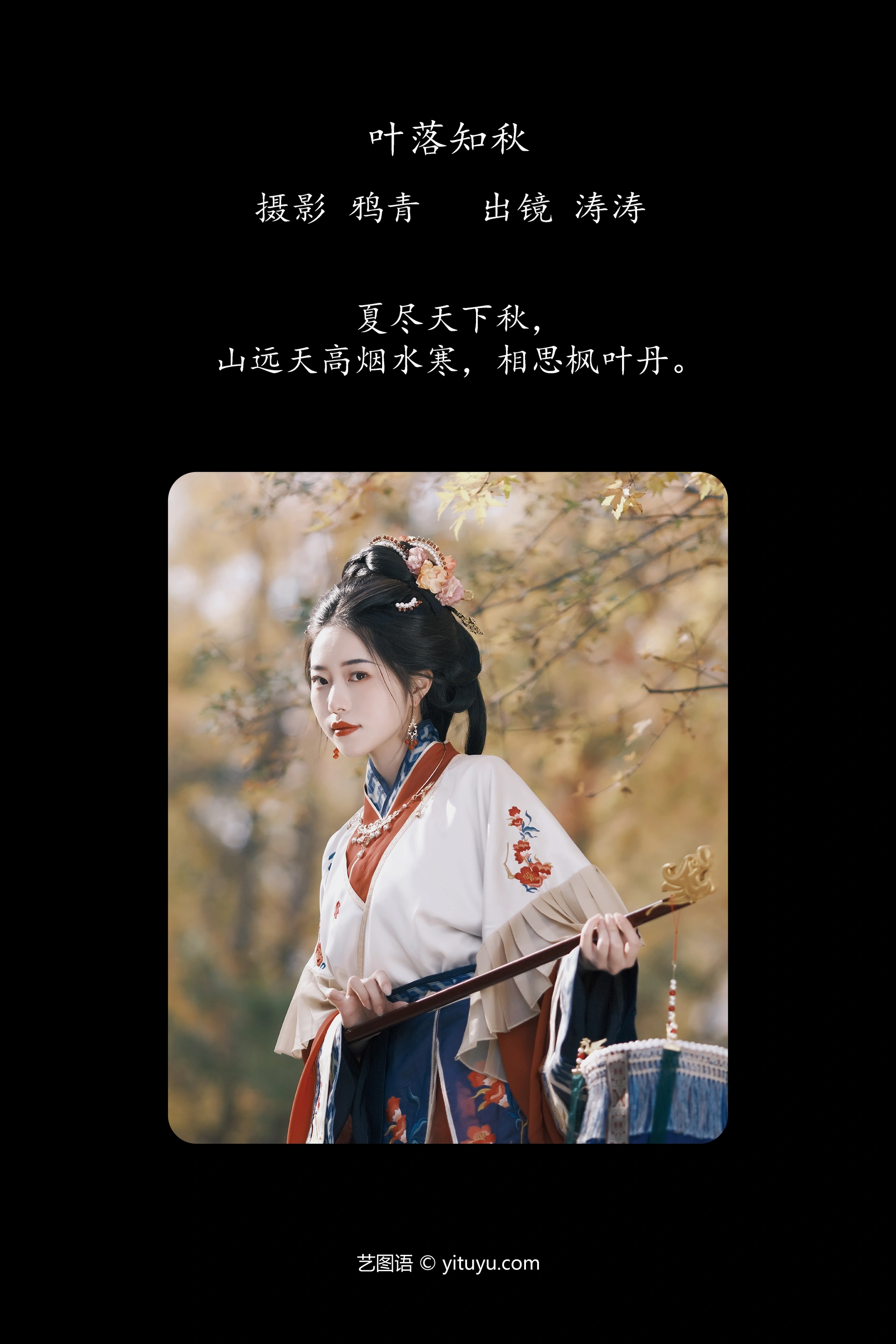 [YITUYU艺图语]2023.11.13 叶落知秋 anya_z 1